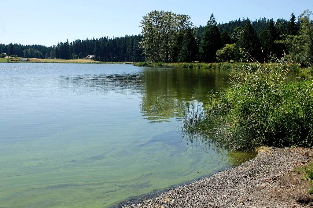 Nanobubbles one idea for ending toxic blooms in lake