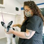 New wheels add shine to grooming biz