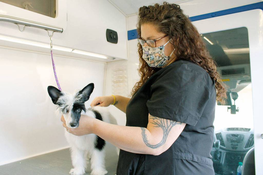 New wheels add shine to grooming biz