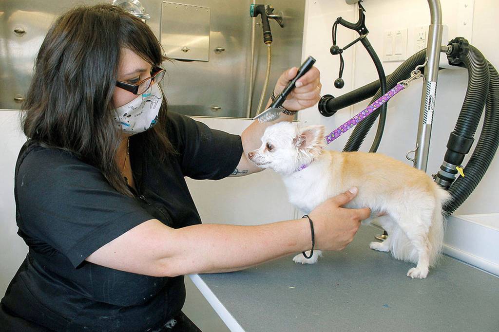 New wheels add shine to grooming biz