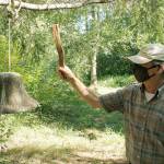 The greener good: Purchase a tree as a tribute