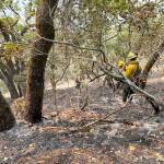 North Whidbey firefighters were recently assigned to battle flames in the Glass Fire near Napa Valley. Photo provided by North Whidbey Fire and Rescue.