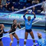 Oak Harbor graduate Janae Payne sets for Western Washington University last volleyball season. (Photo courtesy of WWU Athletics)