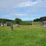 Photo by Ron Newberry