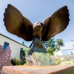 An owl sculpture by Georgia Gerber can be seen along Anthes Avenue in Langley. (Olivia Vanni / The Herald)