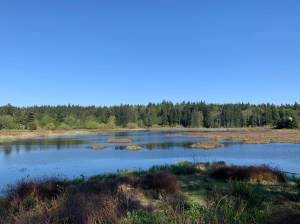 The new Glendale Wetland Preserve is located off of Cultus Bay Road on South Whidbey. Photo provided.