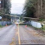 A tree couple of trees knocked down some power lines on Zylstra Road in Oak Harbor after a storm Jan. 13. Photo by Chris Hayden