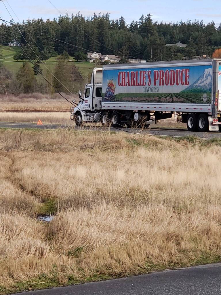 A semi-truck caught a low-hanging power line on Highway 20 in Coupeville Thursday, leading to a detour for Port Townsend ferry riders for hours. WSDOT photo