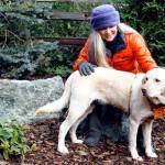 Elizabeth Johnson focuses her healing energy on rescue dog Wilbur. Her practice specializes in treating animals. Photo by Kira Erickson/Whidbey News-Times