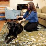 Gail Kronberg plays a Tibetan singing bowl on her 12-year-old lab, Dodger. The practice of sound therapy can have healing and soothing effects for listeners. Kronberg is one of many holistic healers who call Whidbey home. Photo by Kira Erickson/Whidbey News Group