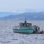 A salvage company towed the boat to La Conner Thursday morning. It had been floating around Coupeville for the past few years. Photo by Emily Gilbert/Whidbey News-Times
