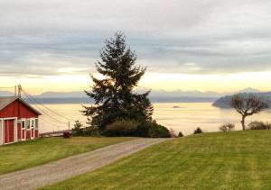 The Whidbey Scenic Isle Way runs through Greenbank, with water views. Photo by Sherrye Wyatt