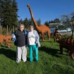 About a dozen metal sculptures adorn the front yard of the home of Burt Mason and Mary Saltwick in Freeland on Whidbey Island. The couple are accustomed to finding strangers in their yard and taking photos. They got the sculptures during vacations in Tucson, at a store that imports handcrafted figures from Mexico. (Andy Bronson / The Herald)