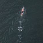 Joe Hempel swims off of the shore of Seawall Park on Friday, Jan. 29, 2021 in Langley, Wa. (Olivia Vanni / The Herald)