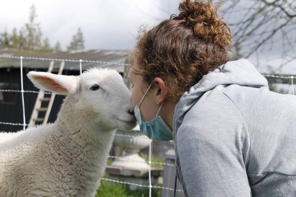 Santosa gives Burren the lamb a kiss.