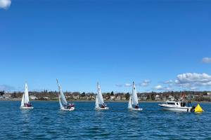 Wildcat Sailing Club