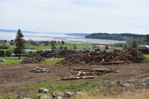 After a delay caused by the pandemic, developer Scott Thompson said construction of new homes may begin soon on the hillside across from Safeway. Photo by Emily Gilbert/Whidbey News-Times