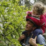 Jake Stewart and his daughter, Rainey, check a flowering tree for bees.