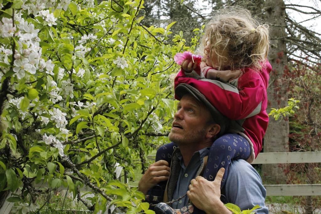 Jake Stewart and his daughter, Rainey, check a flowering tree for bees.