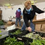 Photo courtesy Whidbey Island Grown Cooperative
The Whidbey Island Grown Cooperatives online ordering platform, the Food Hub, connected shoppers with local farmers, and now allows businesses to place large orders.