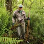 Bob Payton helps clear a new trail at Strawberry Point Preserve Trail. (Photo by Karina Andrew/Whidbey News-Times)