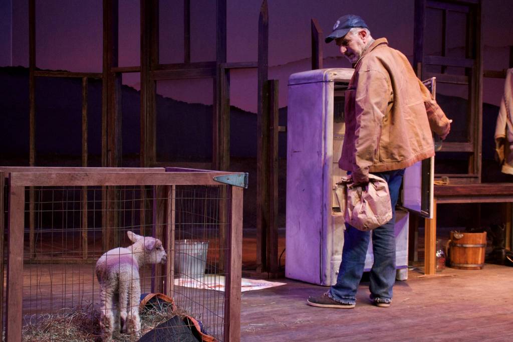 Jeff Natter, who plays Weston Tate, checks the fridge while speaking to the lamb played by Banana. (Photo provided)