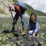 Photo by Kira Erickson
Digging 4 Dinner instructors Leigh Bloom and Michele Sakaguchi search for clams during low tide at Double Bluff Beach.