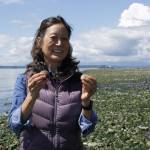 Photo by Kira Erickson
Instructor Michele Sakaguchi holds up two clams found while digging. Clams must be a certain size in order to be harvested.