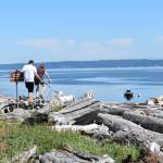 Photo by Emily Gilbert/South Whidbey Record 
A couple and their dog climb over the driftwood at Clinton Beach that has piled up after winter storms.
