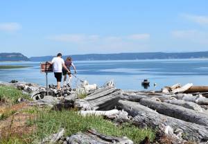 Photo by Emily Gilbert/South Whidbey Record
A couple and their dog climb over the driftwood at Clinton Beach that has piled up after winter storms.