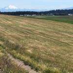 Empty prairie trail.