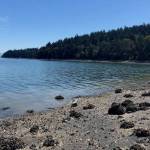 Deserted barnacle beach.