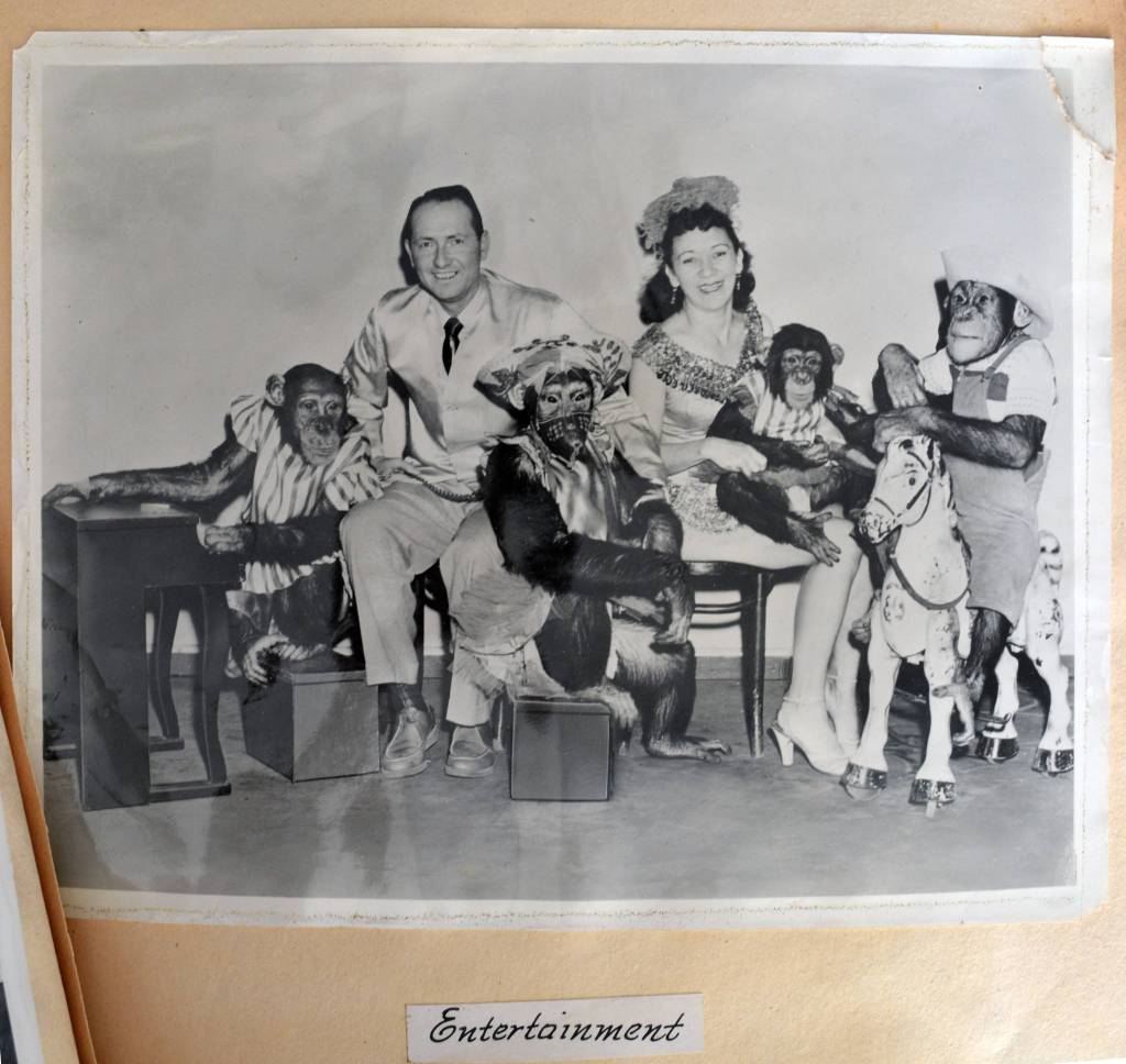 Helen Haags performing chimpanzees were one of the more unusual acts at the 1956 Island County Fair.