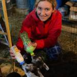 Abby Ruddell, 15, bottle-feeds two of Smudges kids.
(Photo provided)