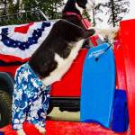 Dressed in board shorts, Kenny poses for a photo that was featured in a goat calendar. (Photo provided)
