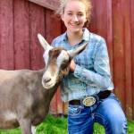 Abby Ruddell, 15, pictured here with a healthy Smudge. The 11-year-old goat that was nursed back to life will be participating in dairy and pet classes at the Whidbey Island Fair this year. (Photo provided)