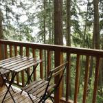 Photo by Kira Erickson