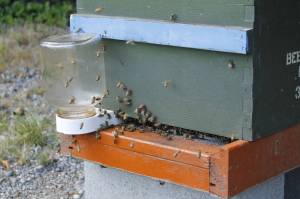 Photo by Kira Erickson/South Whidbey Record