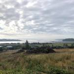 Photo by Emily Gilbert/Whidbey News-Times
Harborview Mobile Home Park residents have signed a petition asking the city of Oak Harbor to respond to their concerns about the fire danger posed by the large wood piles left by a real estate developer in the field above Safeway. Scott Thompson, the developer, said he does not know when he will remove them because he is waiting to receive a model home permit from the city.