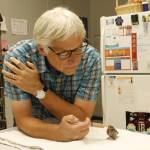 Photo by Kira Erickson/South Whidbey Record
Veterinarian David Parent feeds Jeffrey the house finch, who is receiving care after falling out of the nest. Parent, who is known for treating Whidbey wildlife, is set to retire Aug. 31 after a 31-year career at Useless Bay Animal Clinic.