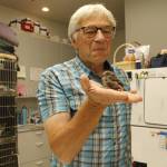 Veterinarian David Parent holds Jeffrey the house finch, who is receiving treatment after falling out of the nest. (Photo by Kira Erickson/South Whidbey Record)