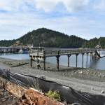 The Cornet Bay dock is being replaced. (Photo by Emily Gilbert/Whidbey News-Times)