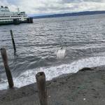 Photo by Dean Petrich