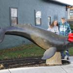 Photo by Kira Erickson/South Whidbey Record
Orca Network founders Susan Berta and Howard Garrett recently celebrated the 20th anniversary of their whale-sighting nonprofit organization. The couple united over their shared passion for whales, which has driven their relationship over the years.