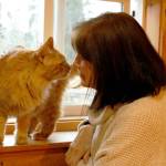 Photos by Kira Erickson/Whidbey News Group
Pet communicator Maureen Belle shares a kiss with Mango, a cat currently residing at the WAIF Cat Cottage who is looking for a home. Below, Beerus, Mangos brother, is a normally shy kitty who usually stays hidden around visitors. He greeted Belle during a recent visit and seemed at ease with her.