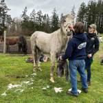 Photo provided
Blaze is reunited with his owners after being pulled from the well.