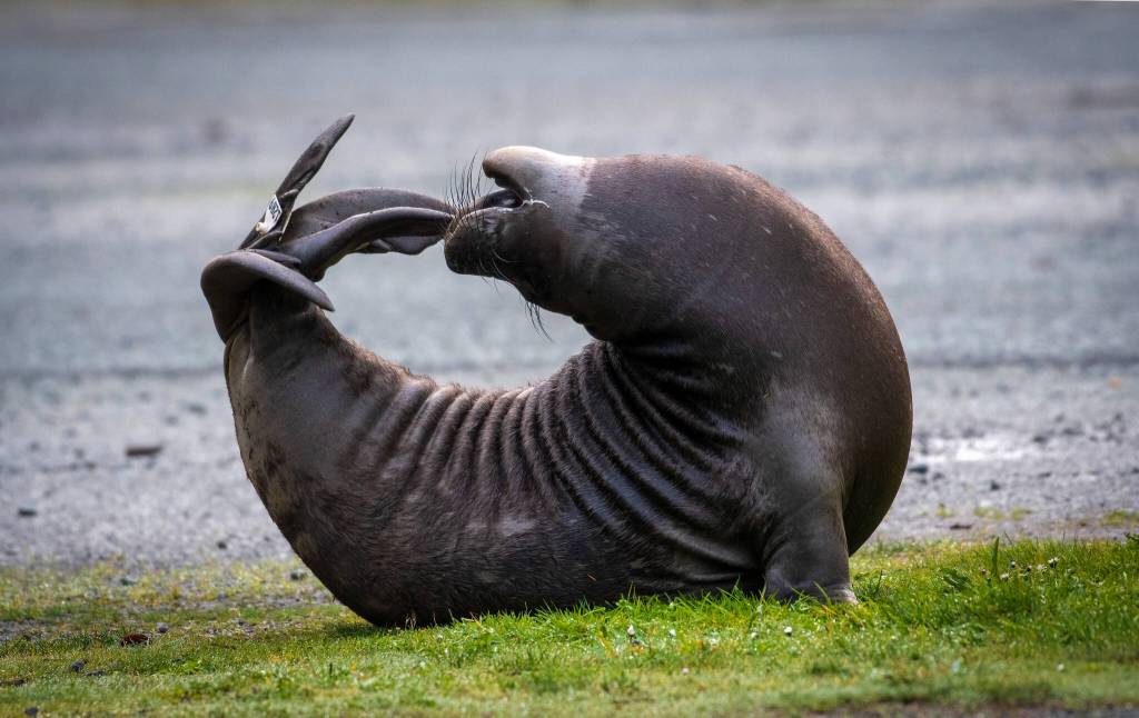 Photo by Dianne Norton