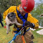 Firefighter and EMT Cooper Ullman went over the edge to rescue Sammy on Monday morning. (Photo provided)