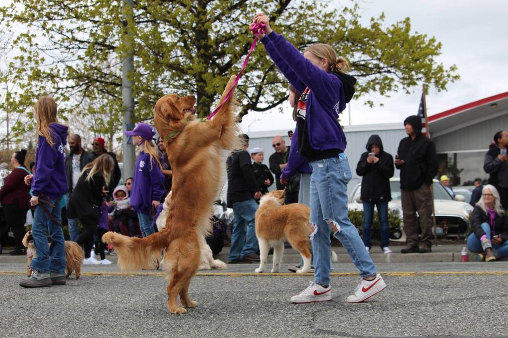 A dog performs tricks. (Photo by Karina Andrew/Whidbey News-Times)