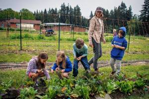 South Whidbey School Farms Manager Emily Koller walks past a class of kids picking veggies at the school farm. Kids, from left to right: Simone Boland, Charlotte Bunch, David Bermingham and Thaddeus Campbell. (Photo by David Welton)